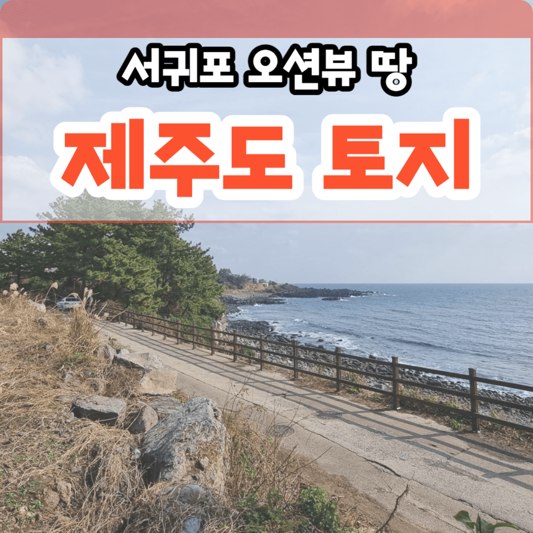 제주도 땅값