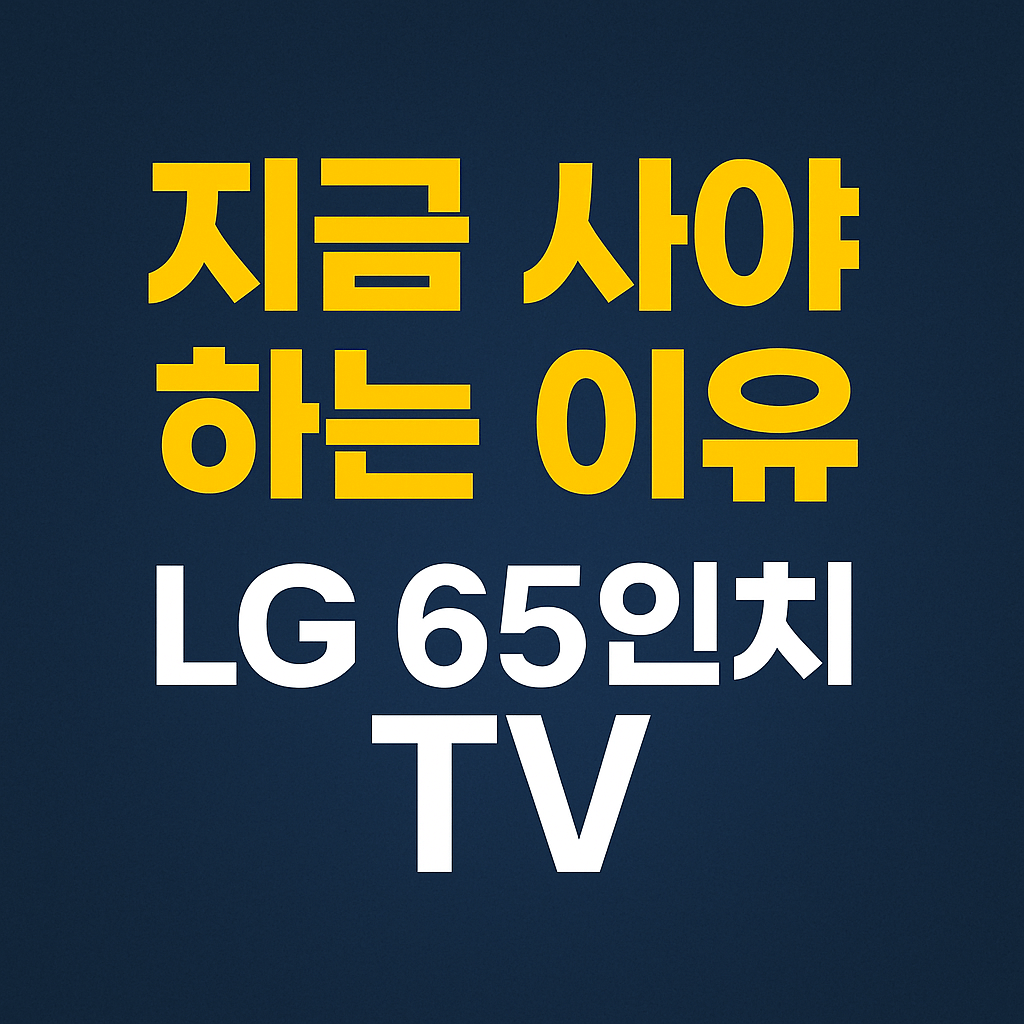 LG 65인치 TV