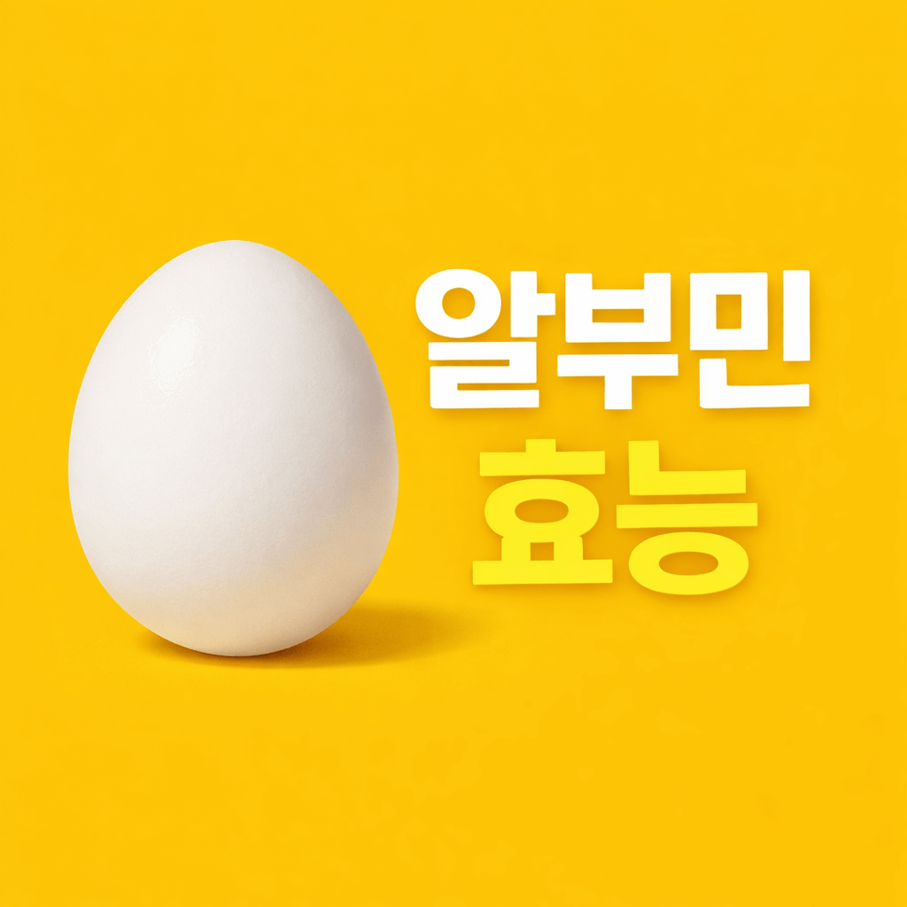 알부민 효능