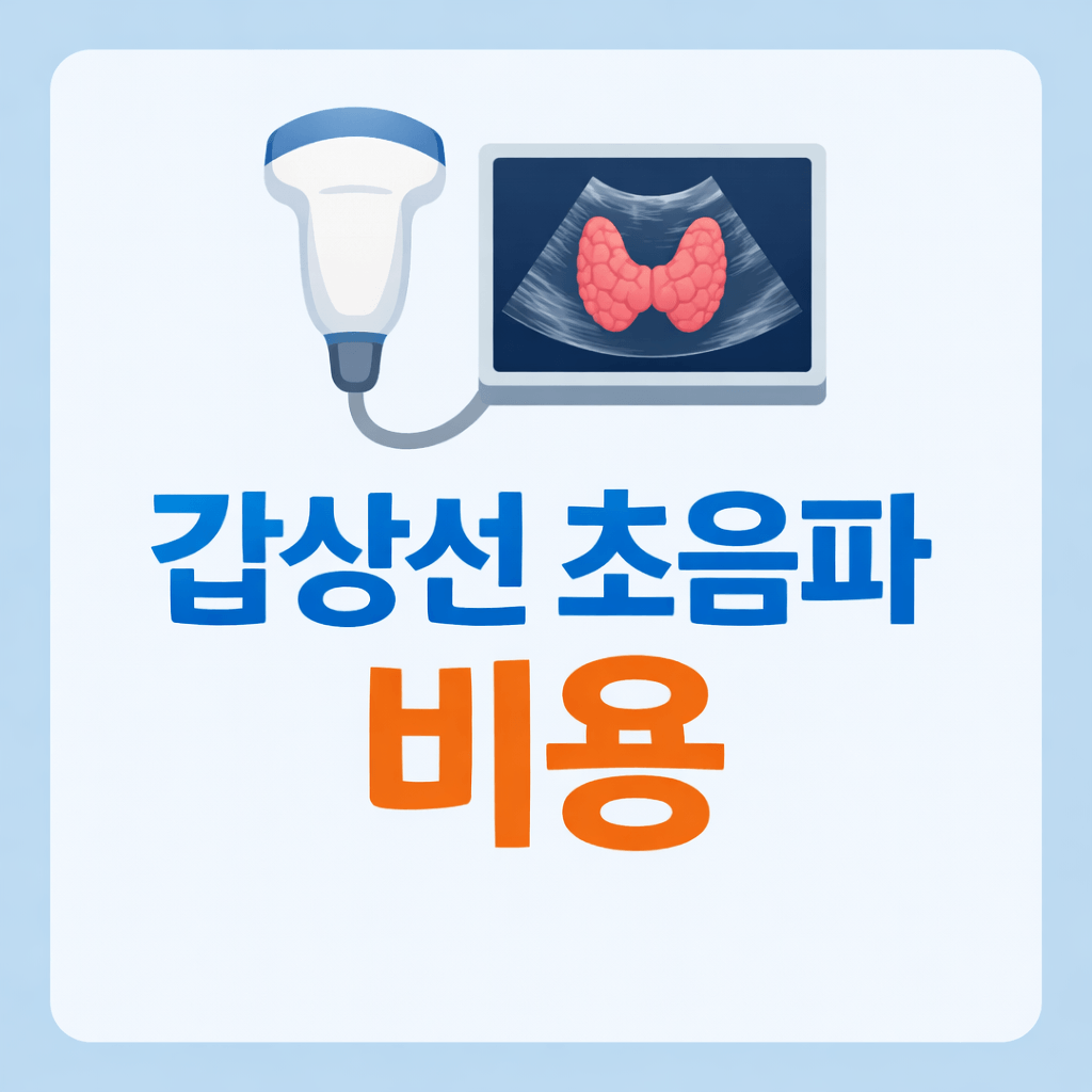 갑상선 초음파 비용
