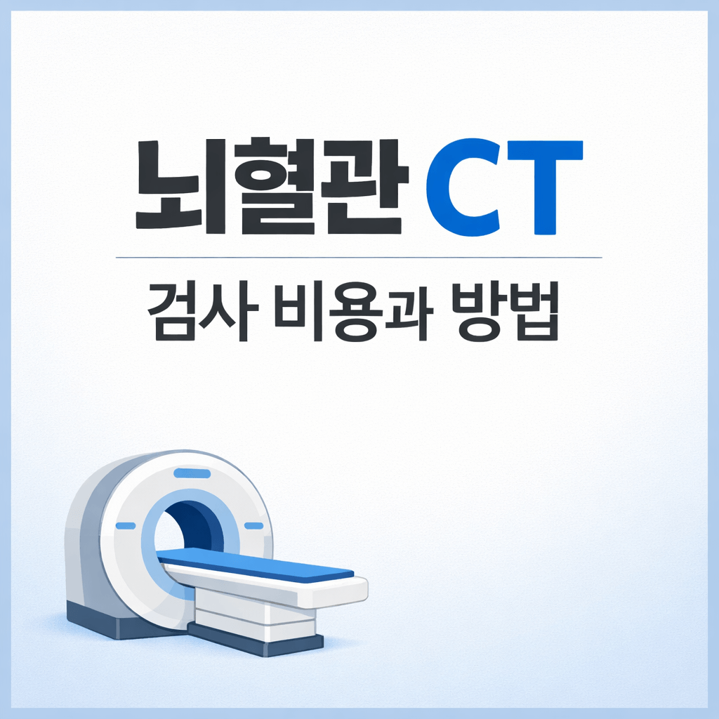 뇌혈관 CT