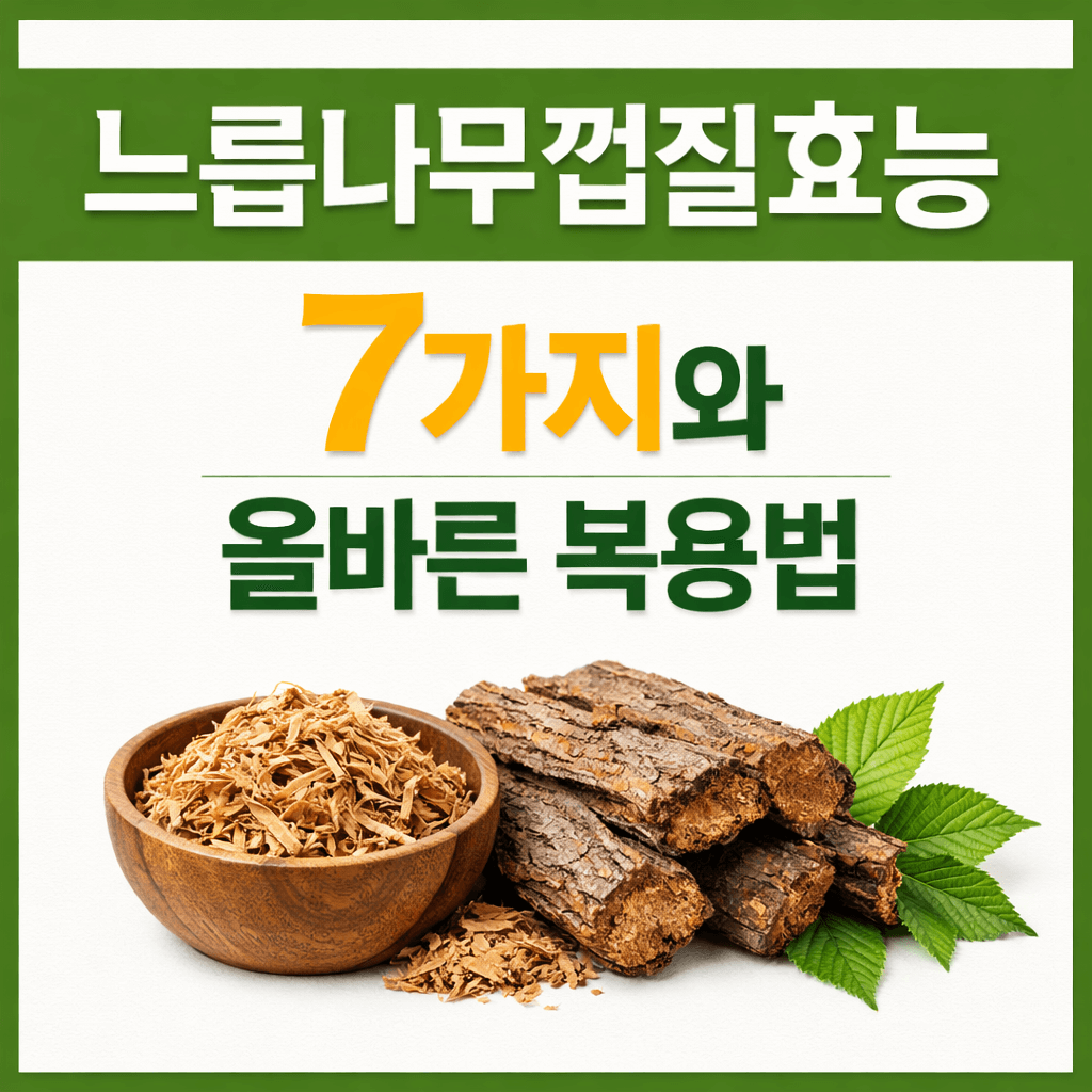 느릅나무껍질효능