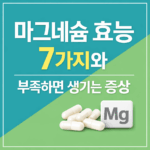 마그네슘 효능