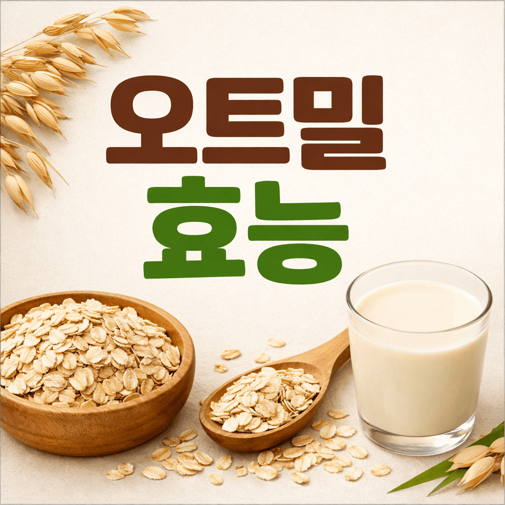 오트밀 효능