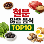 철분 많은 음식