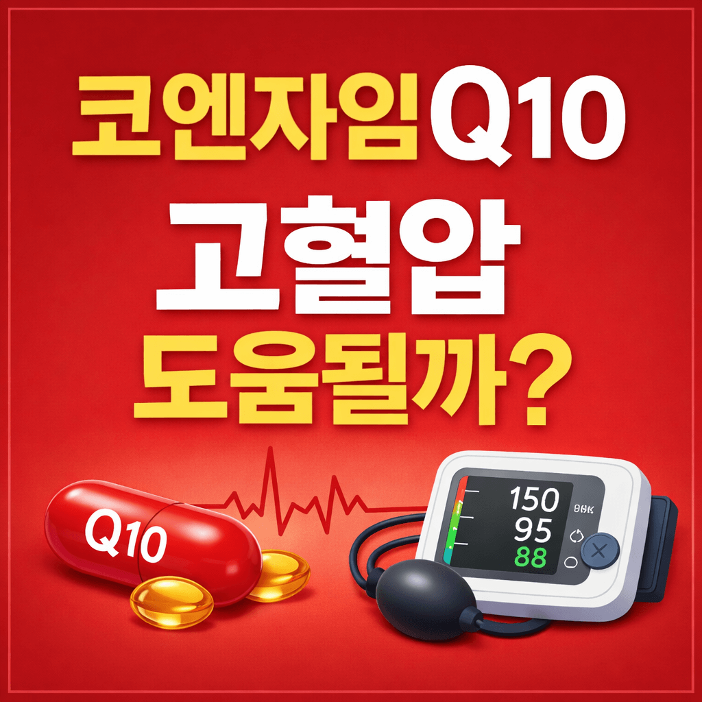 코엔자임Q10 효능