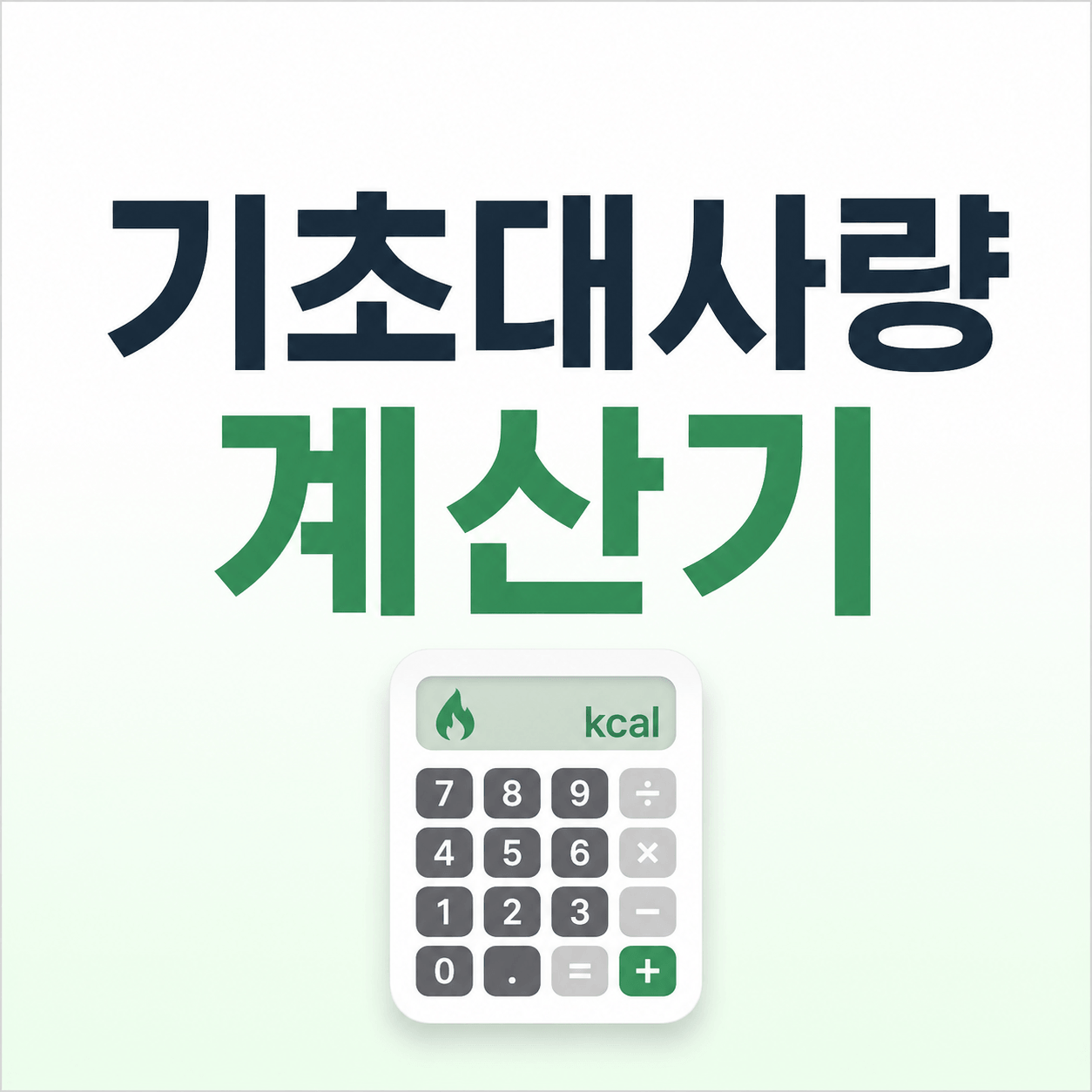 기초대사량 계산기