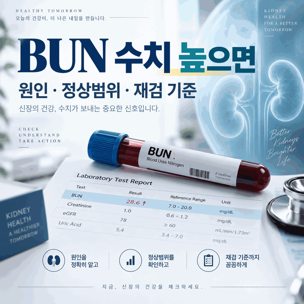 BUN 수치 높으면