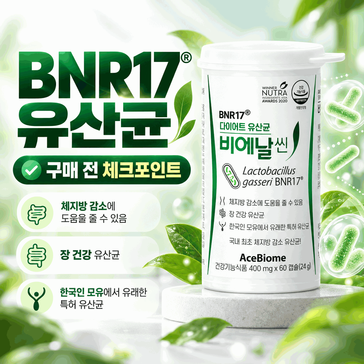 BNR17 유산균