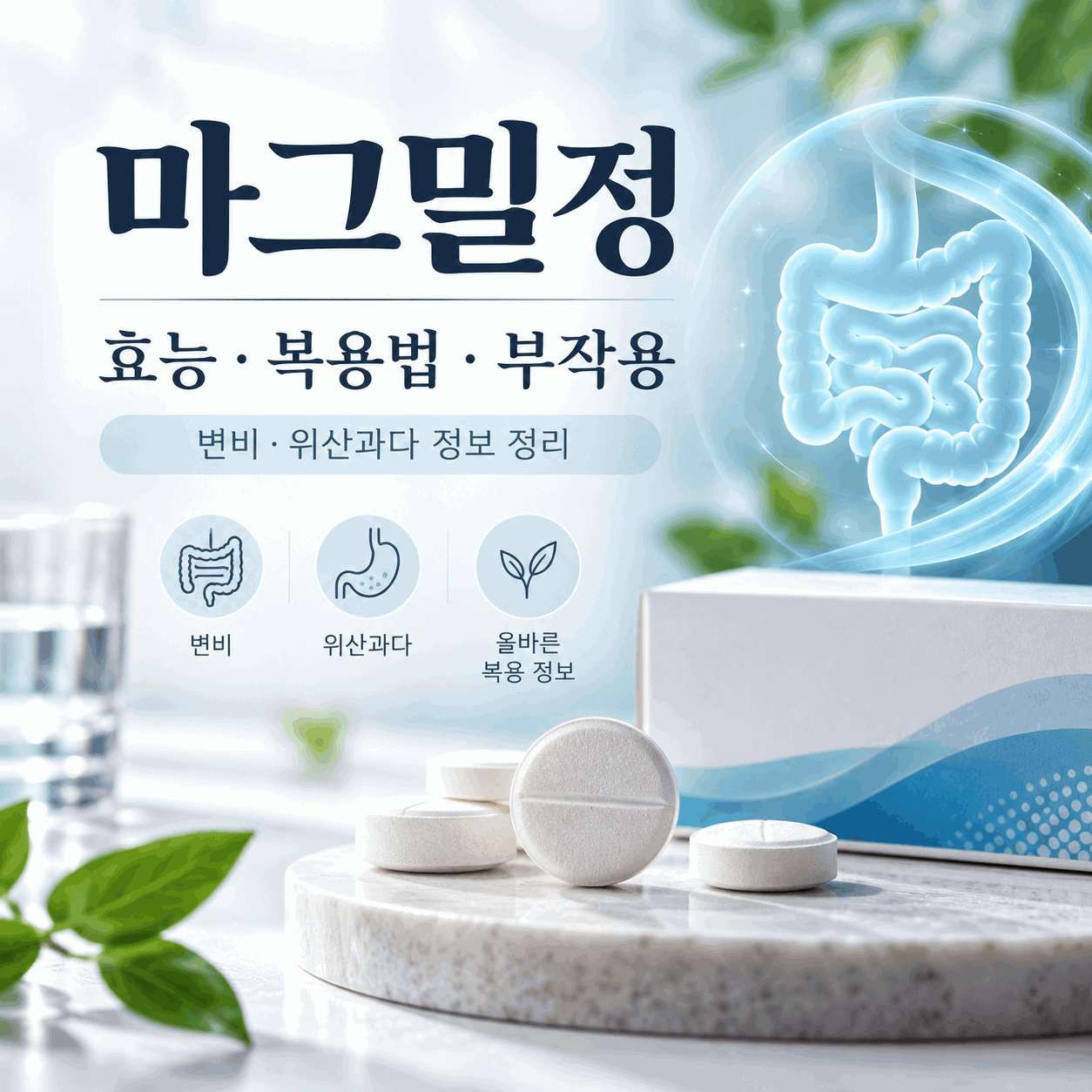 마그밀정