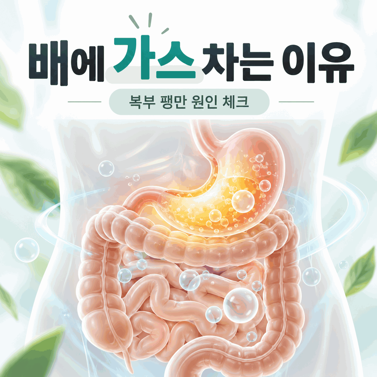 배에 가스 차는 이유