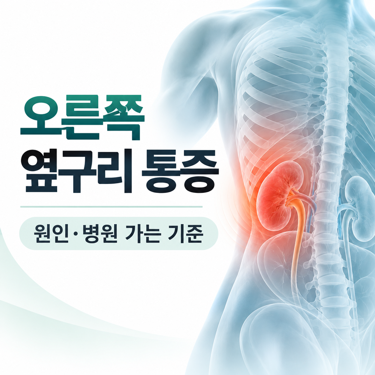 오른쪽 옆구리 통증