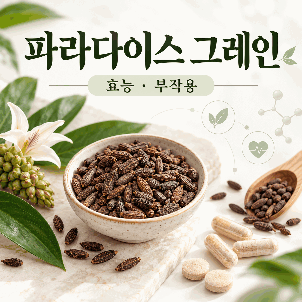 파라다이스 그레인