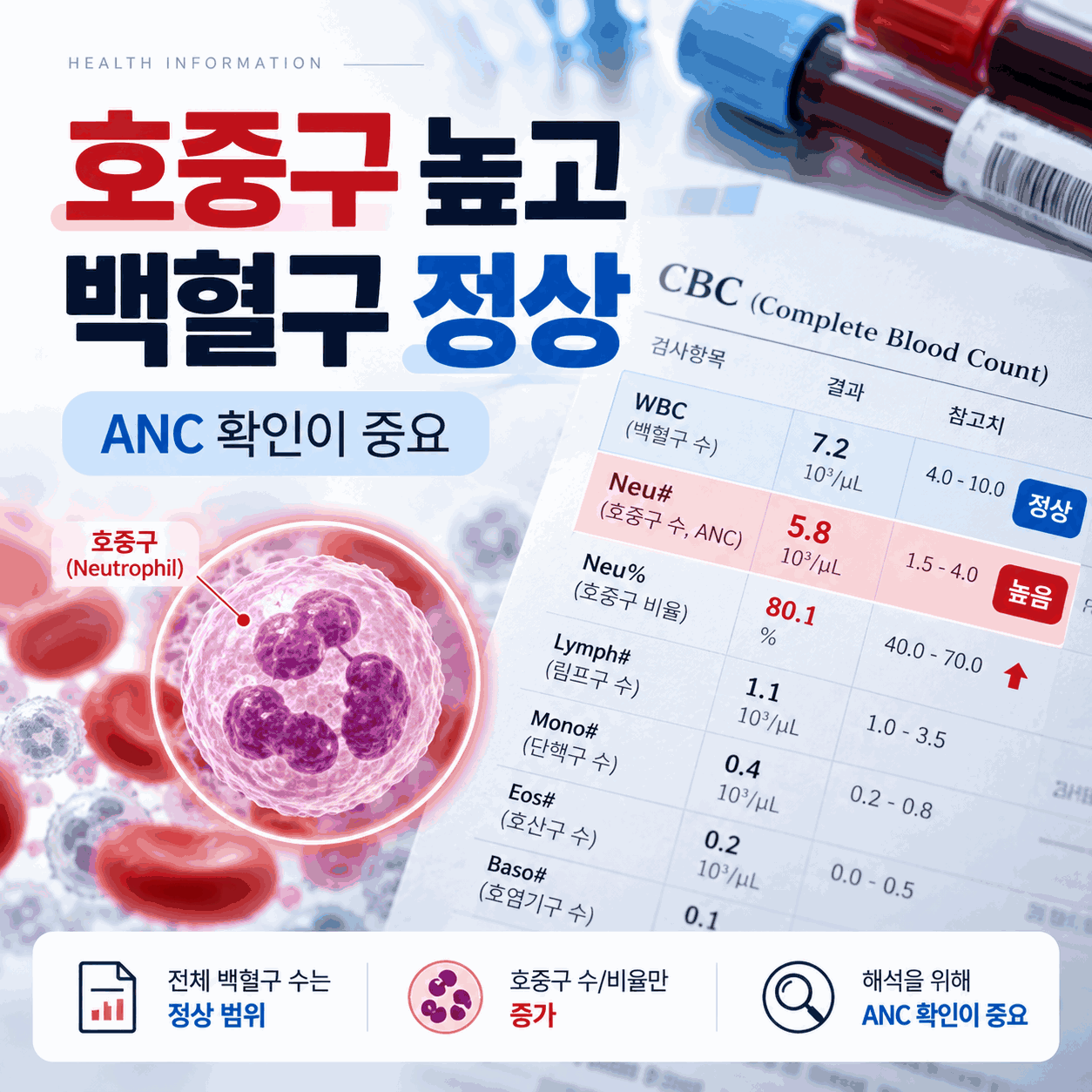 호중구 높고 백혈구 정상